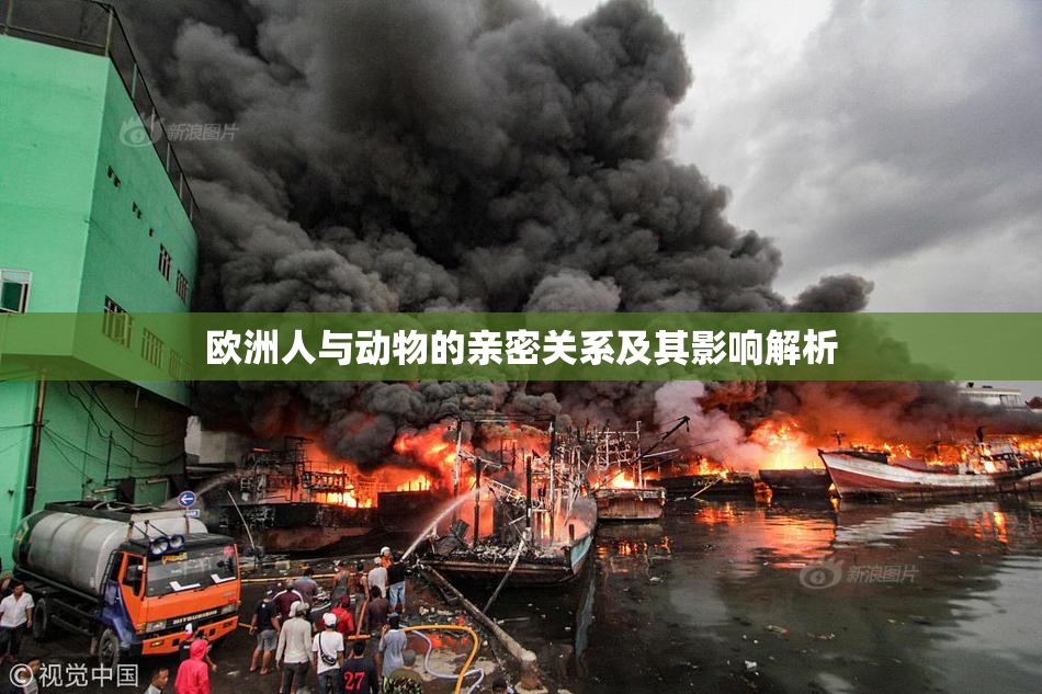 欧洲人与动物的亲密关系及其影响解析