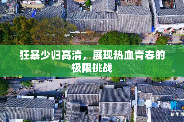 狂暴少归高清，展现热血青春的极限挑战