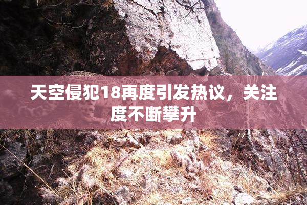 天空侵犯18再度引发热议，关注度不断攀升