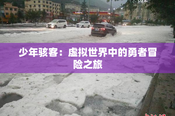 少年骇客：虚拟世界中的勇者冒险之旅