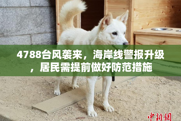 4788台风袭来，海岸线警报升级，居民需提前做好防范措施