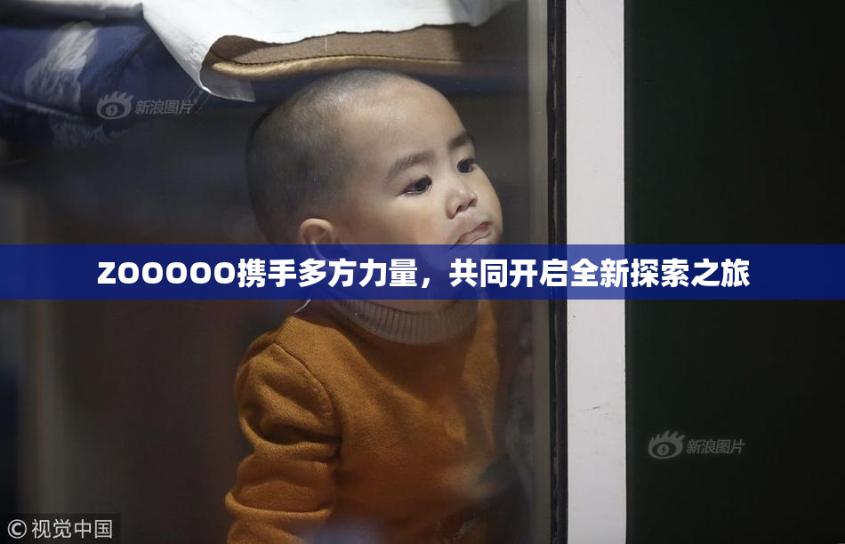 ZOOOOO携手多方力量，共同开启全新探索之旅