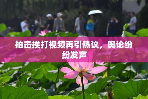 拍击挨打视频再引热议，舆论纷纷发声