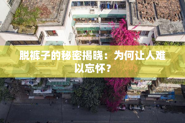 脱裤子的秘密揭晓：为何让人难以忘怀？