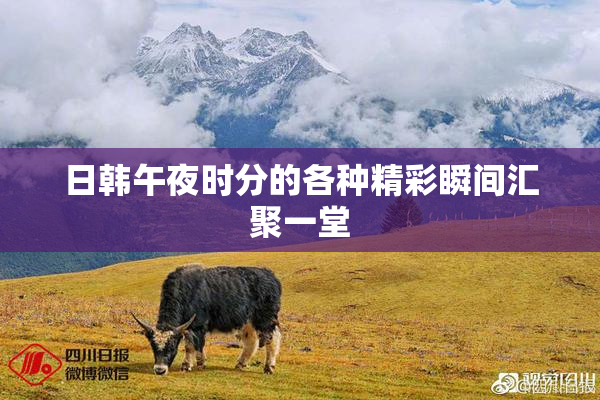 日韩午夜时分的各种精彩瞬间汇聚一堂