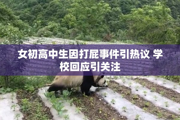 女初高中生因打屁事件引热议 学校回应引关注