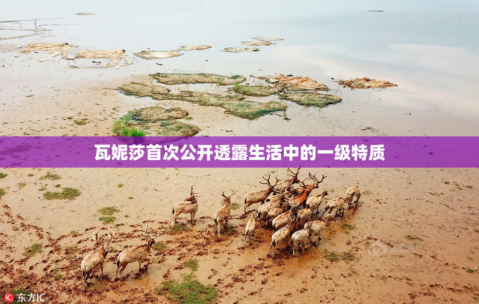 瓦妮莎首次公开透露生活中的一级特质