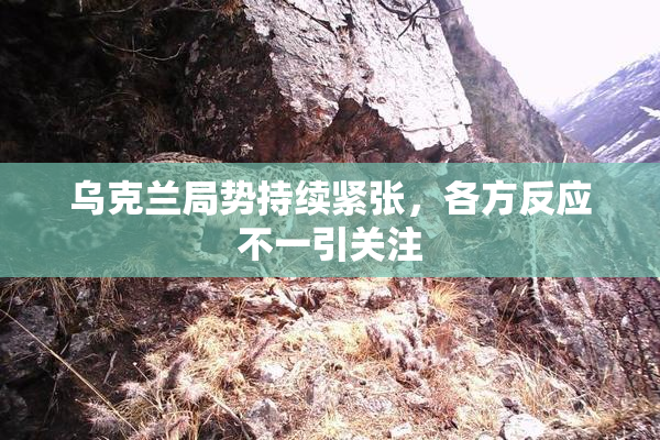 乌克兰局势持续紧张，各方反应不一引关注