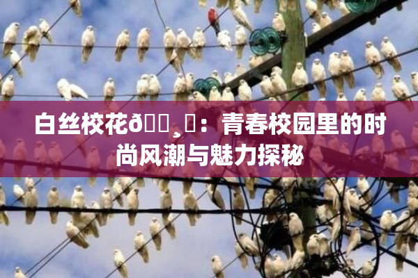 白丝校花🌸‌：青春校园里的时尚风潮与魅力探秘