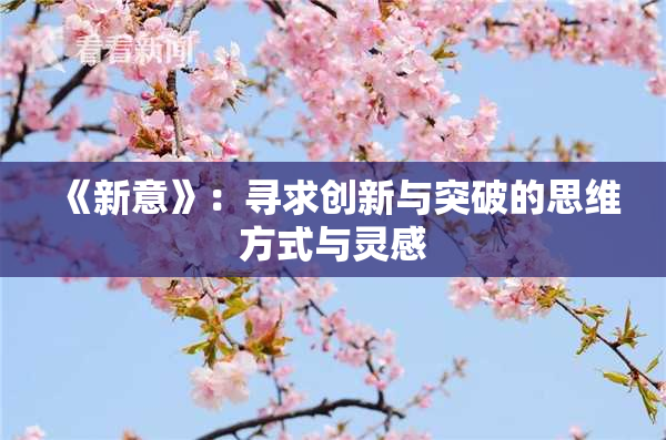 《新意》：寻求创新与突破的思维方式与灵感
