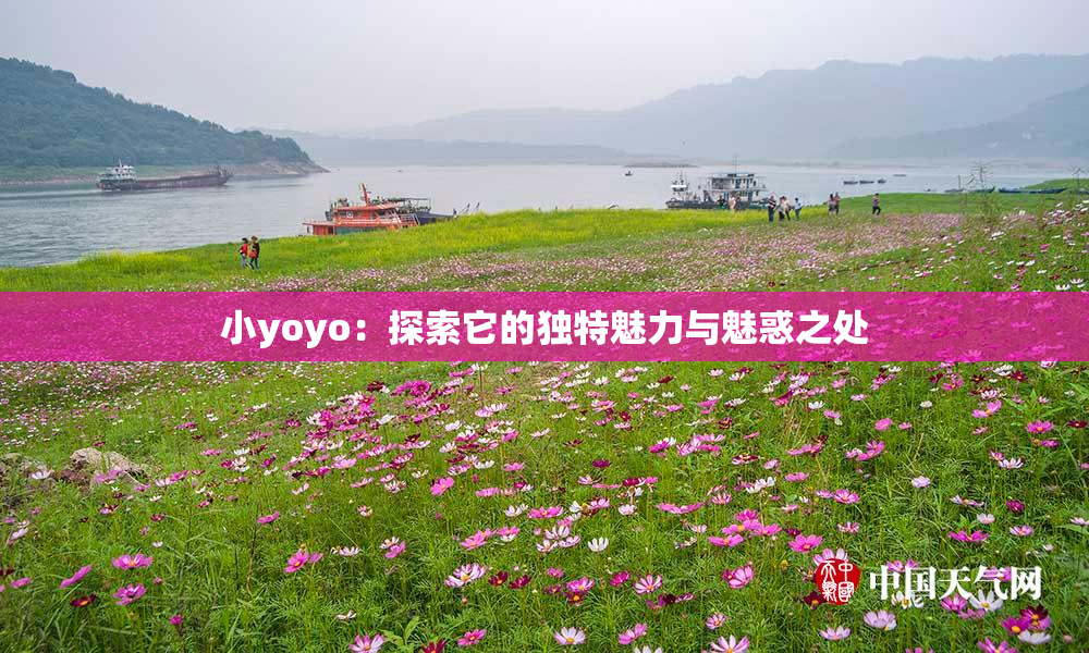 小yoyo：探索它的独特魅力与魅惑之处