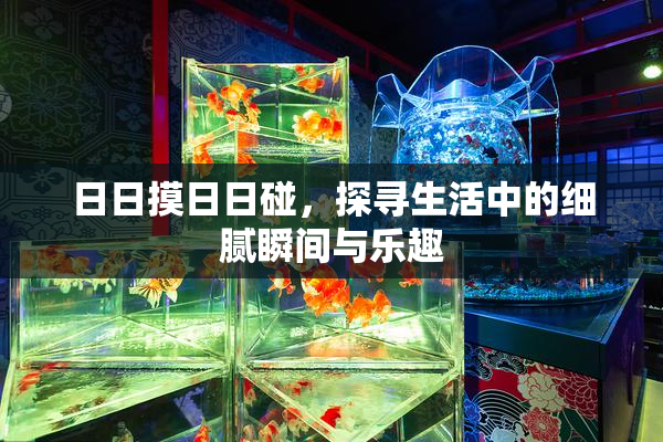 日日摸日日碰，探寻生活中的细腻瞬间与乐趣
