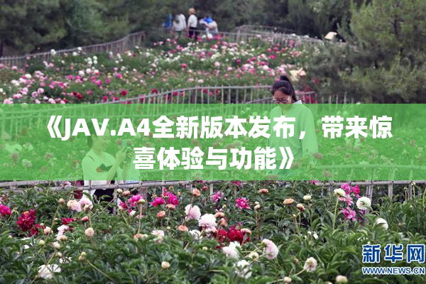 《JAV.A4全新版本发布，带来惊喜体验与功能》