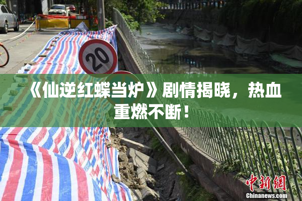 《仙逆红蝶当炉》剧情揭晓，热血重燃不断！