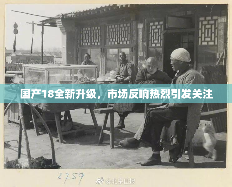 国产18全新升级，市场反响热烈引发关注