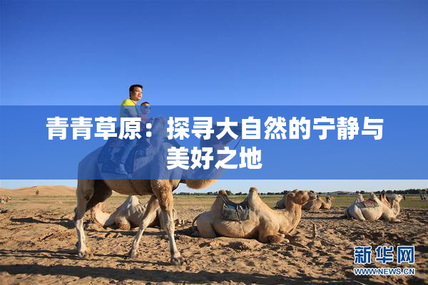 青青草原：探寻大自然的宁静与美好之地