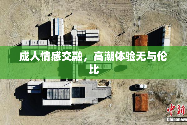 成人情感交融，高潮体验无与伦比