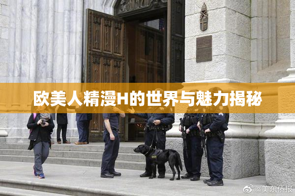 欧美人精漫H的世界与魅力揭秘