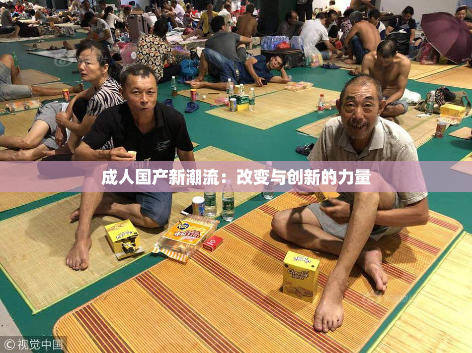 成人国产新潮流：改变与创新的力量