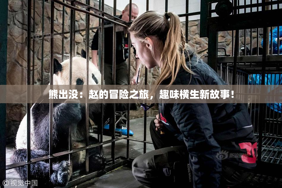 熊出没：赵的冒险之旅，趣味横生新故事！