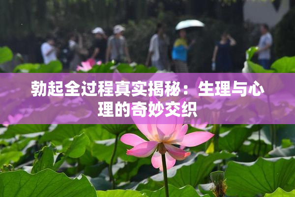 勃起全过程真实揭秘：生理与心理的奇妙交织