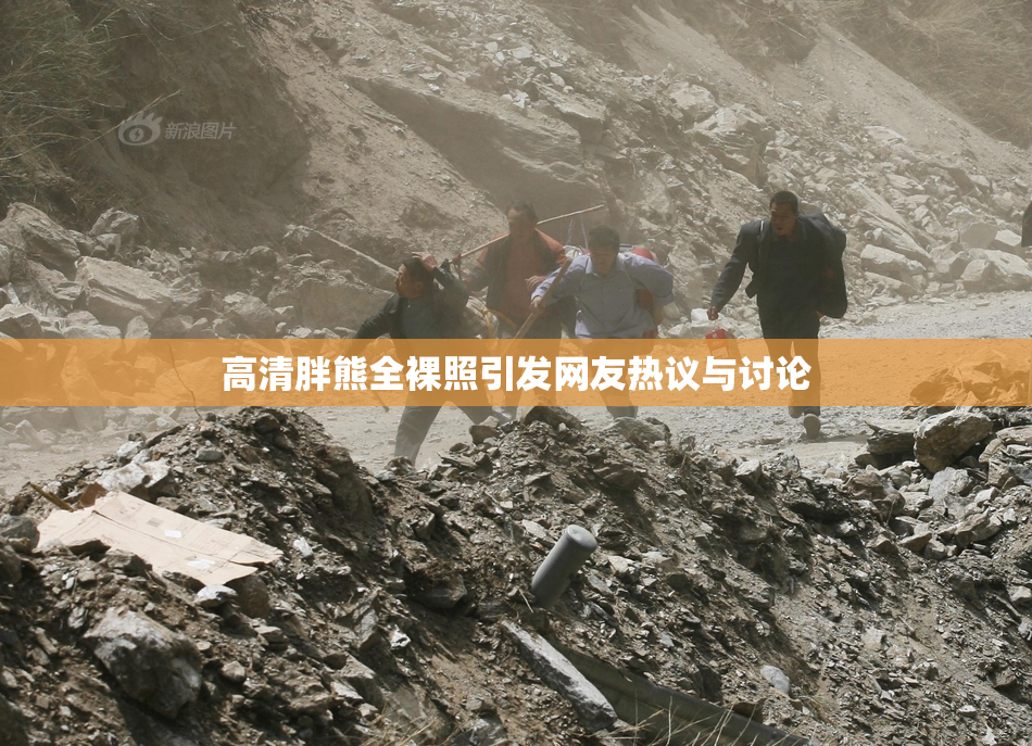 高清胖熊全裸照引发网友热议与讨论