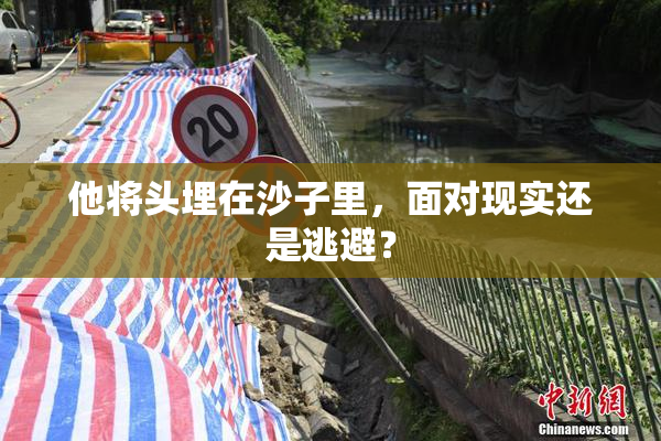 他将头埋在沙子里，面对现实还是逃避？