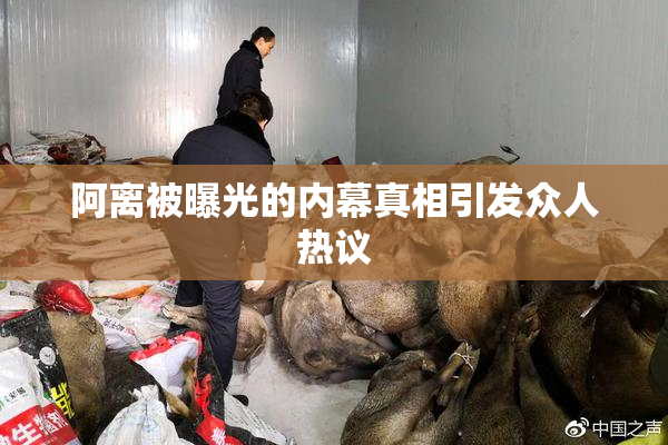 阿离被曝光的内幕真相引发众人热议
