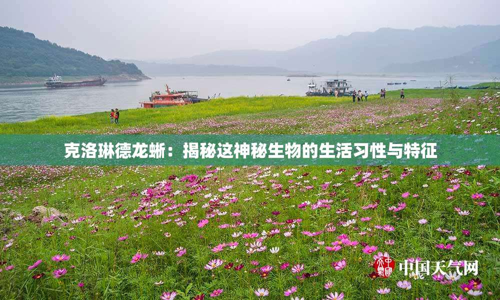 克洛琳德龙蜥：揭秘这神秘生物的生活习性与特征