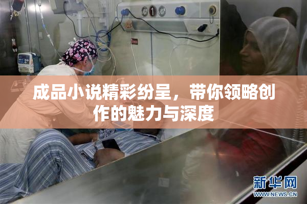 成品小说精彩纷呈，带你领略创作的魅力与深度