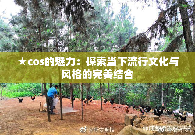 ★cos的魅力：探索当下流行文化与风格的完美结合