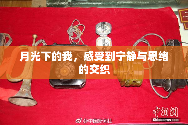 月光下的我，感受到宁静与思绪的交织