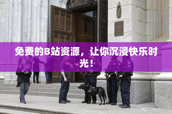 免费的B站资源，让你沉浸快乐时光！