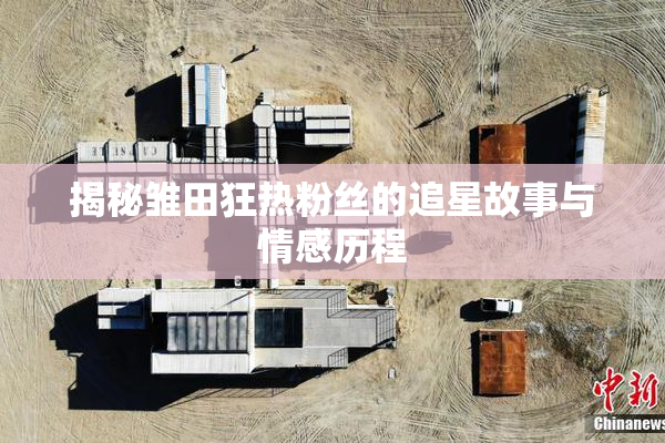揭秘雏田狂热粉丝的追星故事与情感历程