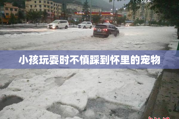 小孩玩耍时不慎踩到怀里的宠物