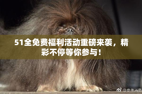 51全免费福利活动重磅来袭，精彩不停等你参与！