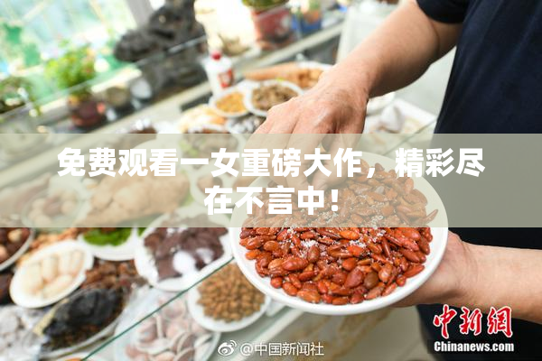 免费观看一女重磅大作，精彩尽在不言中！