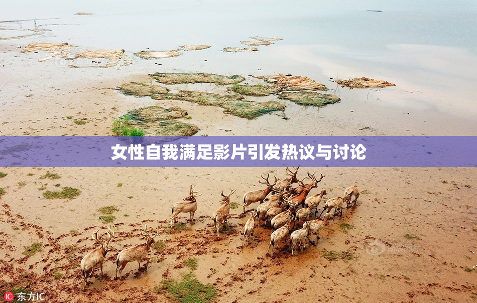 女性自我满足影片引发热议与讨论