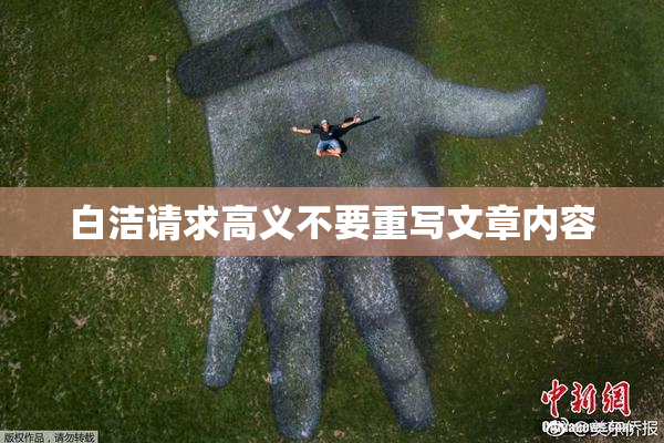 白洁请求高义不要重写文章内容