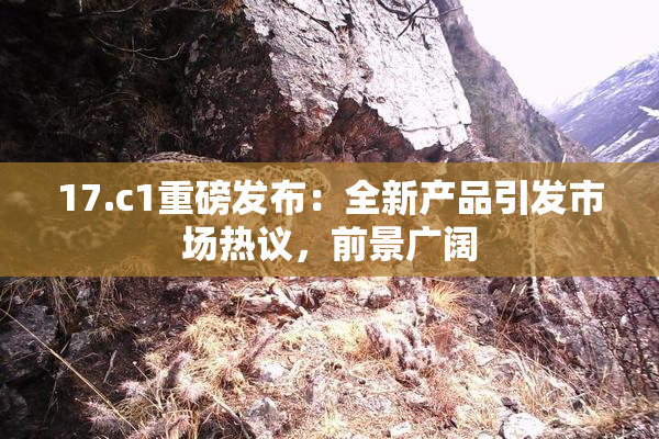 17.c1重磅发布：全新产品引发市场热议，前景广阔