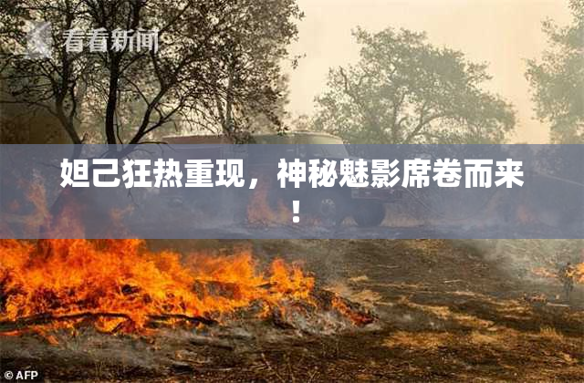 妲己狂热重现，神秘魅影席卷而来！