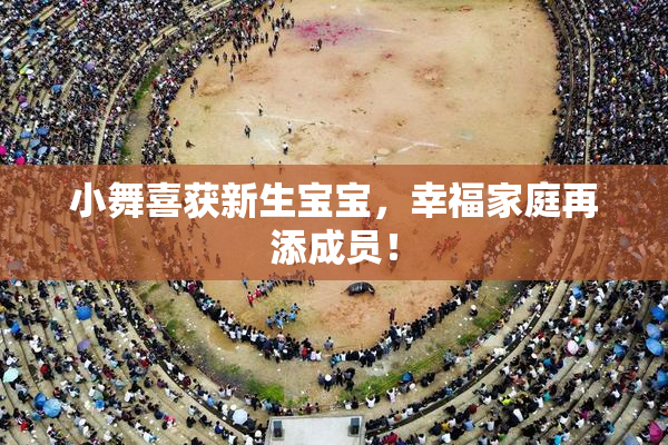 小舞喜获新生宝宝，幸福家庭再添成员！