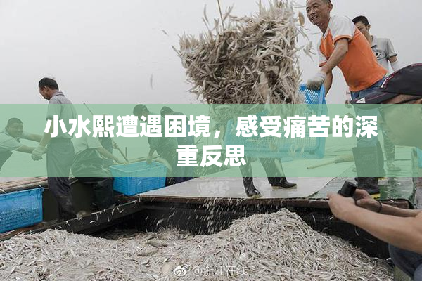 小水熙遭遇困境，感受痛苦的深重反思