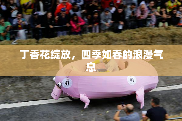 丁香花绽放，四季如春的浪漫气息