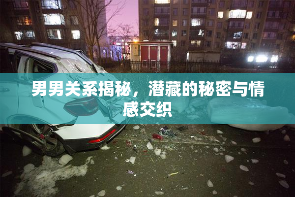 男男关系揭秘，潜藏的秘密与情感交织