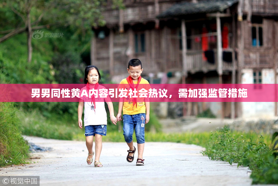 男男同性黄A内容引发社会热议，需加强监管措施