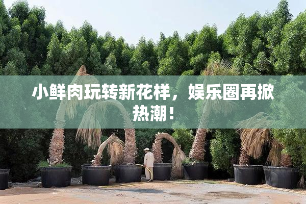 小鲜肉玩转新花样，娱乐圈再掀热潮！