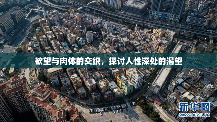 欲望与肉体的交织，探讨人性深处的渴望