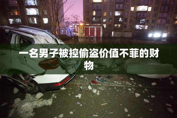一名男子被控偷盗价值不菲的财物