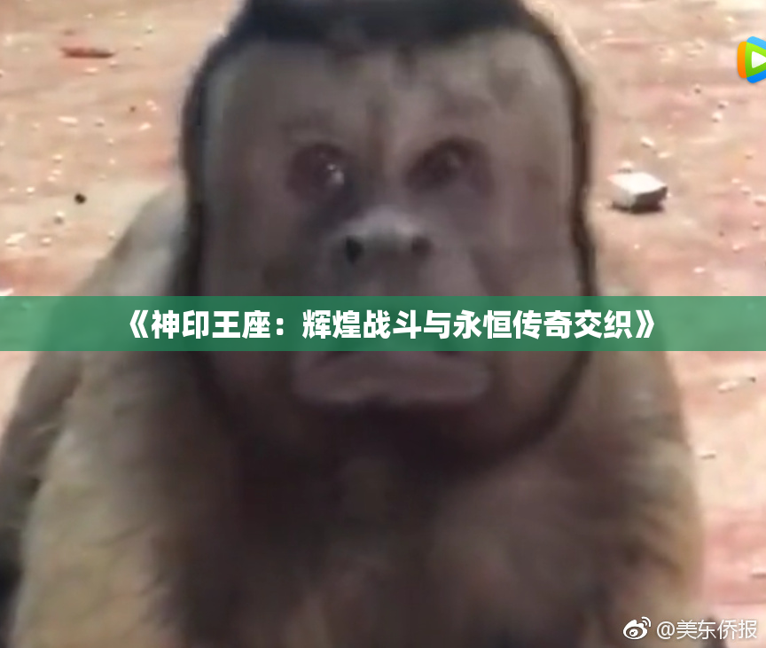 《神印王座：辉煌战斗与永恒传奇交织》